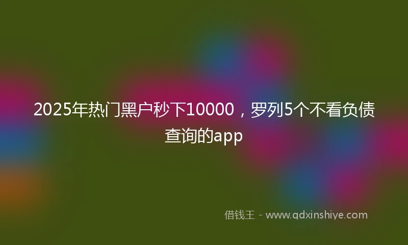 2025年热门黑户秒下10000，罗列5个不看负债查询的app