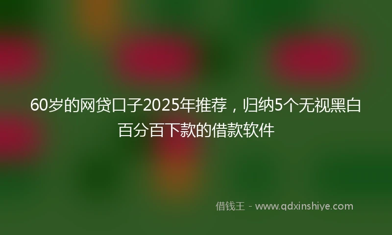 60岁的网贷口子2025年推荐，归纳5个无视黑白百分百下款的借款软件