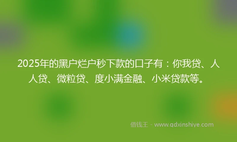 2025年的黑户烂户秒下款的口子有：你我贷、人人贷、微粒贷、度小满金融、小米贷款等。