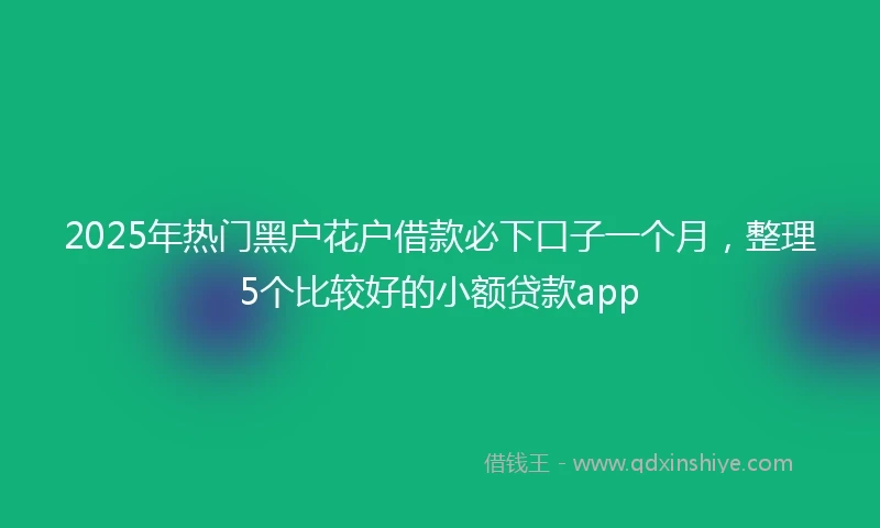 2025年热门黑户花户借款必下口子一个月，整理5个比较好的小额贷款app