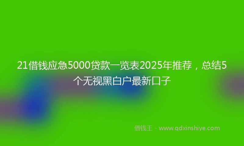 21借钱应急5000贷款一览表2025年推荐，总结5个无视黑白户最新口子