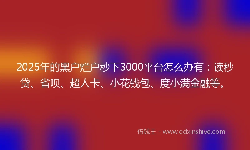 2025年的黑户烂户秒下3000平台怎么办有：读秒贷、省呗、超人卡、小花钱包、度小满金融等。