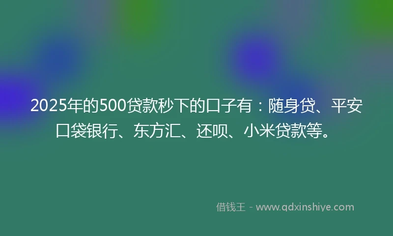 2025年的500贷款秒下的口子有：随身贷、平安口袋银行、东方汇、还呗、小米贷款等。