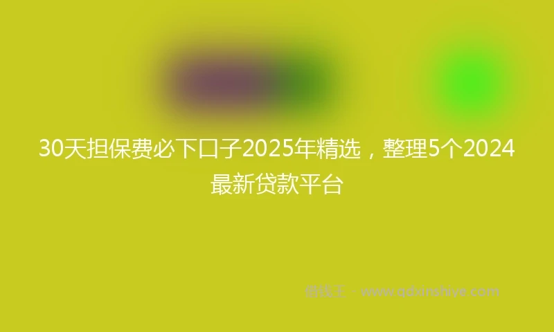 30天担保费必下口子2025年精选，整理5个2024最新贷款平台
