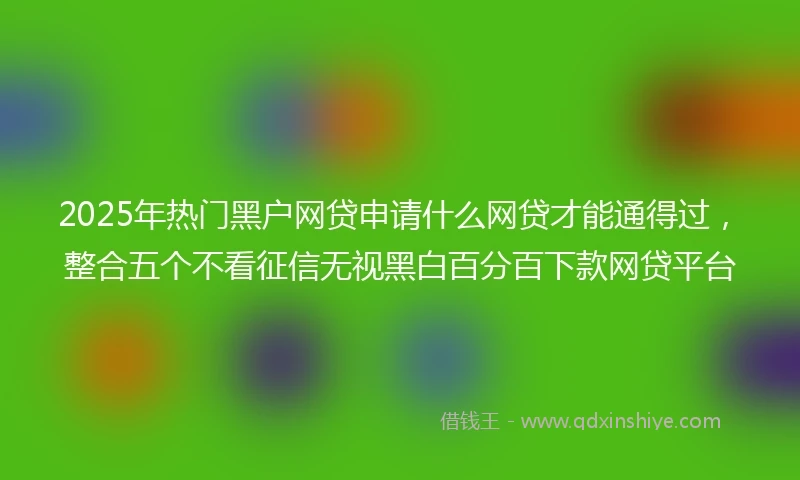 2025年热门黑户网贷申请什么网贷才能通得过，整合五个不看征信无视黑白百分百下款网贷平台