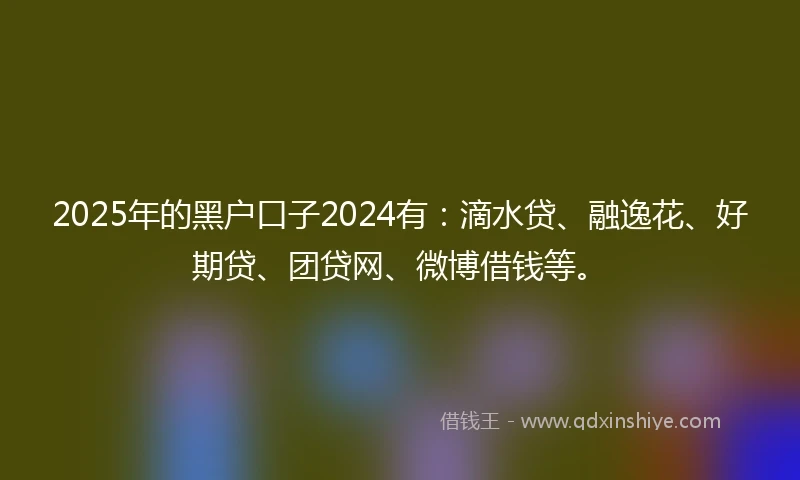 2025年的黑户口子2024有：滴水贷、融逸花、好期贷、团贷网、微博借钱等。