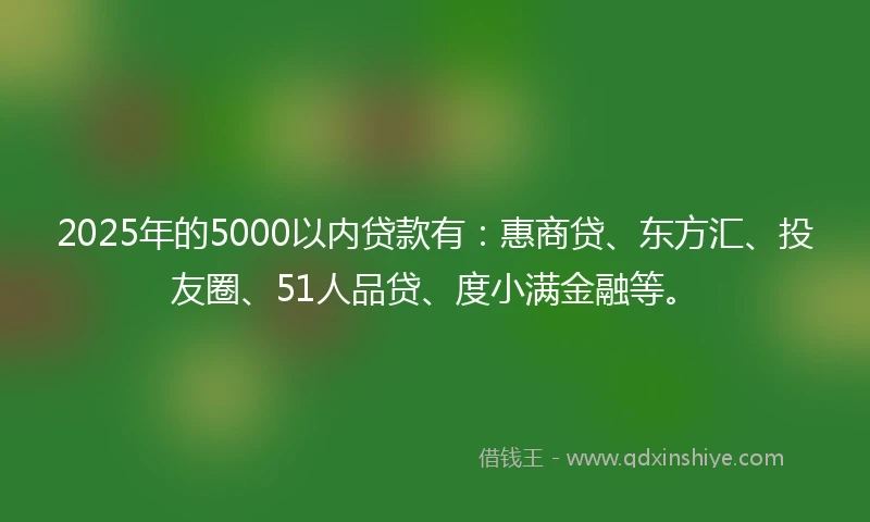 2025年的5000以内贷款有：惠商贷、东方汇、投友圈、51人品贷、度小满金融等。