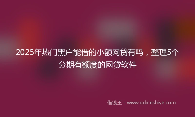2025年热门黑户能借的小额网贷有吗，整理5个分期有额度的网贷软件