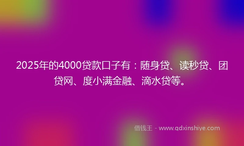 2025年的4000贷款口子有：随身贷、读秒贷、团贷网、度小满金融、滴水贷等。