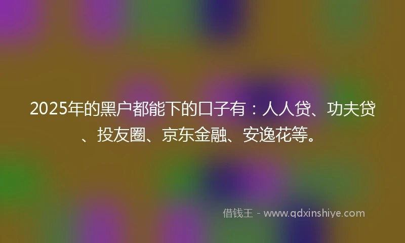2025年的黑户都能下的口子有：人人贷、功夫贷、投友圈、京东金融、安逸花等。