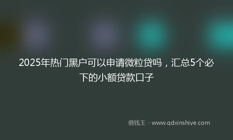 2025年热门黑户可以申请微粒贷吗，汇总5个必下的小额贷款口子