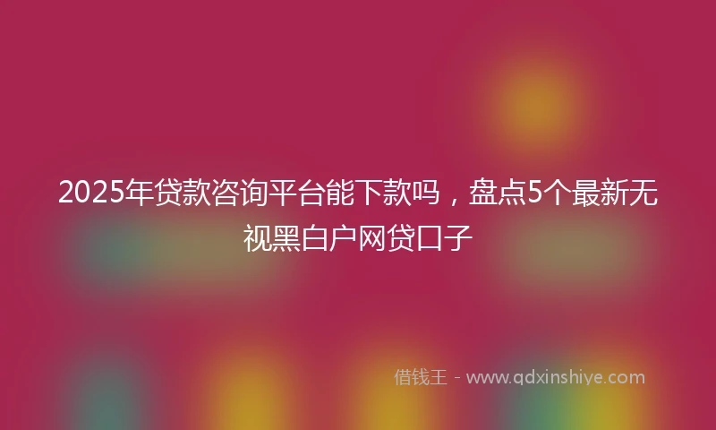 2025年贷款咨询平台能下款吗，盘点5个最新无视黑白户网贷口子