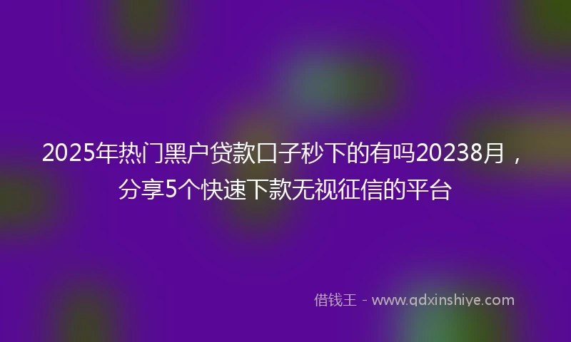 2025年热门黑户贷款口子秒下的有吗20238月，分享5个快速下款无视征信的平台