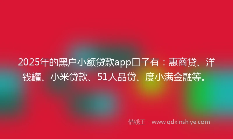 2025年的黑户小额贷款app口子有：惠商贷、洋钱罐、小米贷款、51人品贷、度小满金融等。