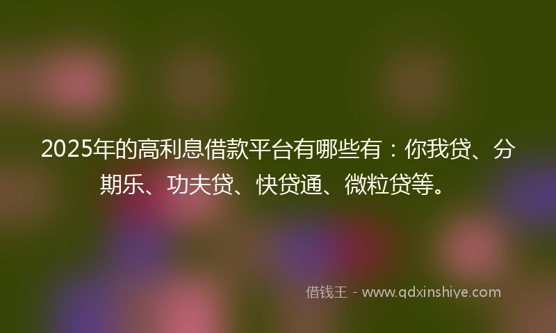 2025年的高利息借款平台有哪些有：你我贷、分期乐、功夫贷、快贷通、微粒贷等。