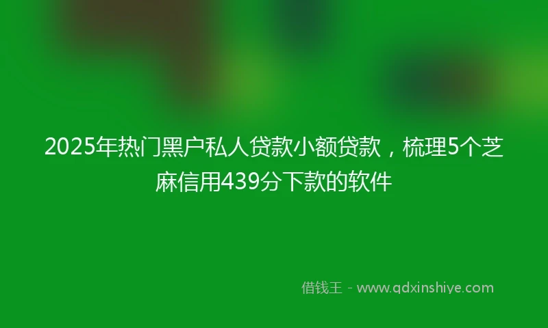 2025年热门黑户私人贷款小额贷款，梳理5个芝麻信用439分下款的软件