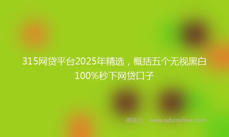 315网贷平台2025年精选，概括五个无视黑白100%秒下网贷口子
