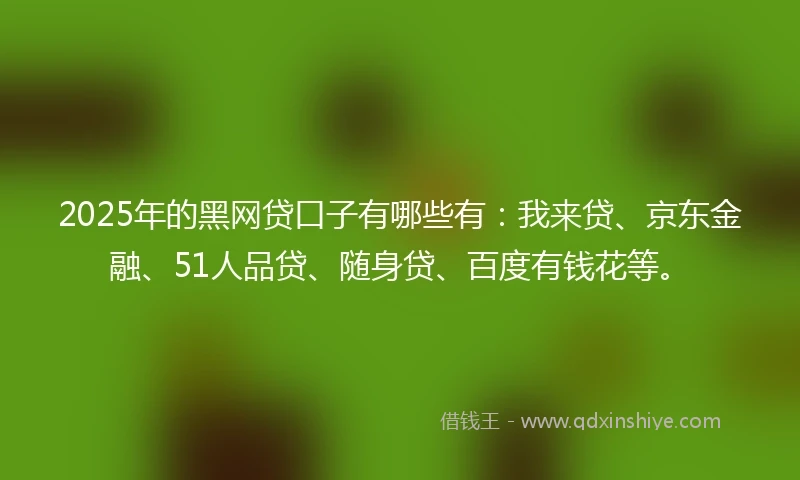 2025年的黑网贷口子有哪些有：我来贷、京东金融、51人品贷、随身贷、百度有钱花等。