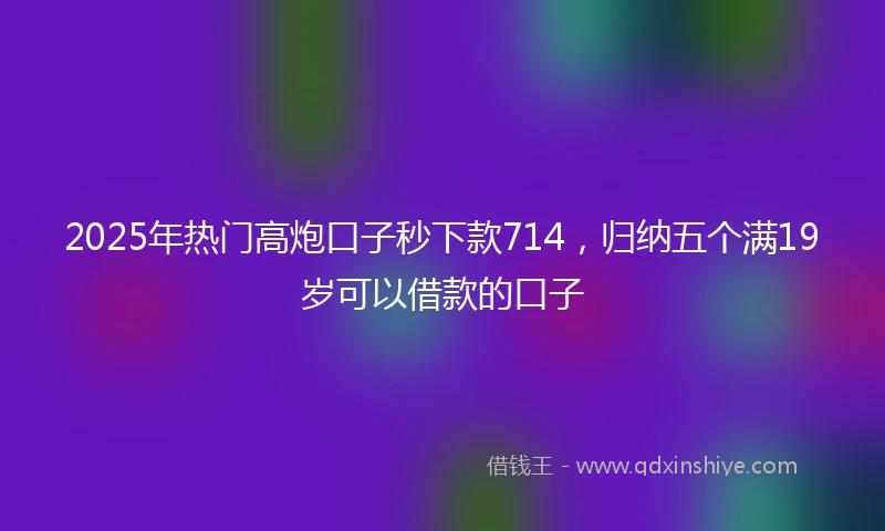 2025年热门高炮口子秒下款714，归纳五个满19岁可以借款的口子