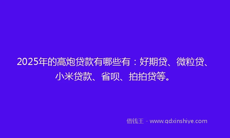2025年的高炮贷款有哪些有：好期贷、微粒贷、小米贷款、省呗、拍拍贷等。