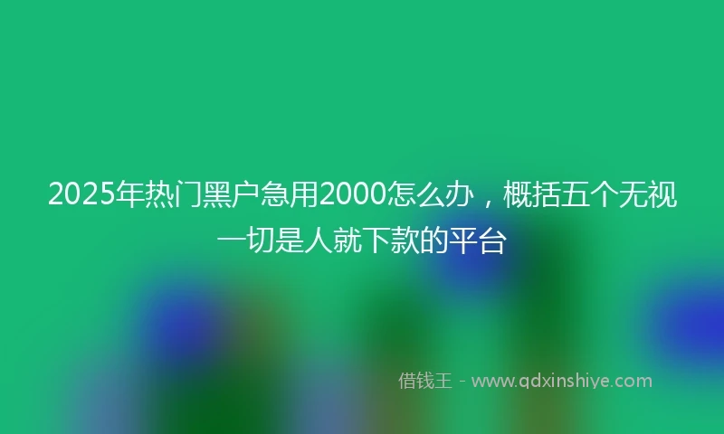 2025年热门黑户急用2000怎么办，概括五个无视一切是人就下款的平台
