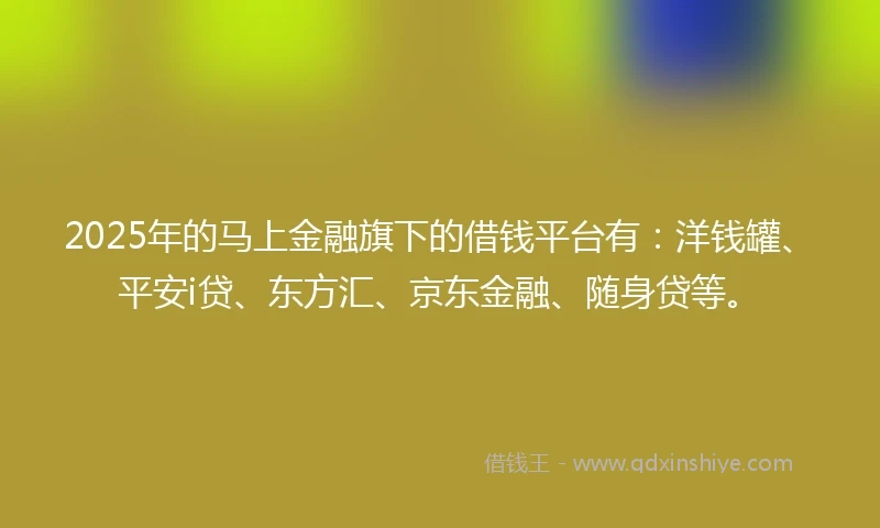 2025年的马上金融旗下的借钱平台有：洋钱罐、平安i贷、东方汇、京东金融、随身贷等。