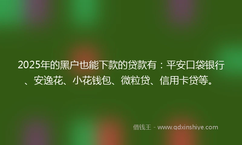 2025年的黑户也能下款的贷款有：平安口袋银行、安逸花、小花钱包、微粒贷、信用卡贷等。