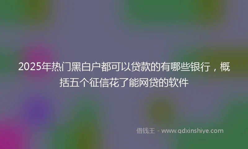 2025年热门黑白户都可以贷款的有哪些银行，概括五个征信花了能网贷的软件