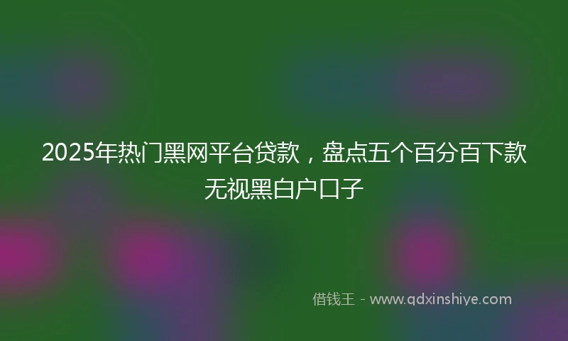 2025年热门黑网平台贷款，盘点五个百分百下款无视黑白户口子