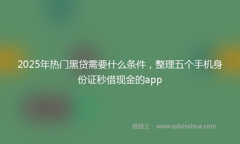 2025年热门黑贷需要什么条件，整理五个手机身份证秒借现金的app
