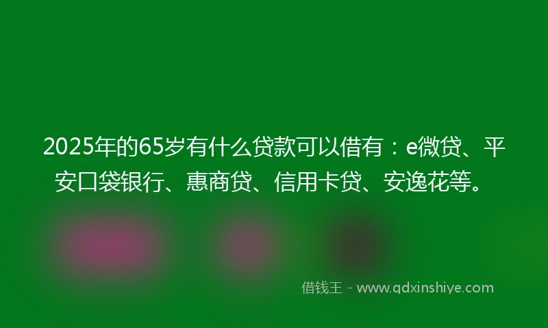 2025年的65岁有什么贷款可以借有：e微贷、平安口袋银行、惠商贷、信用卡贷、安逸花等。