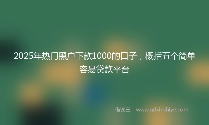2025年热门黑户下款1000的口子，概括五个简单容易贷款平台