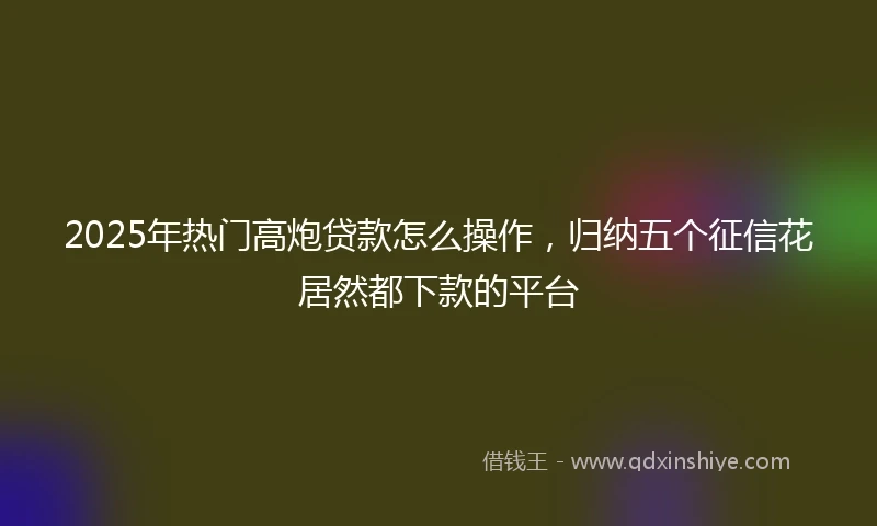 2025年热门高炮贷款怎么操作，归纳五个征信花居然都下款的平台