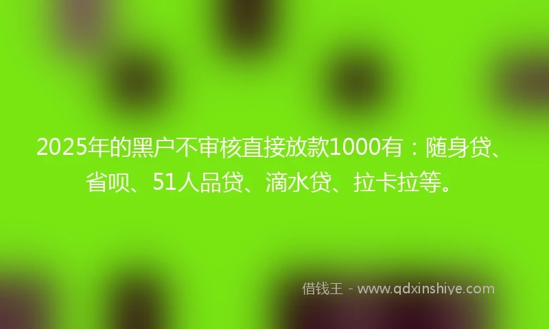 2025年的黑户不审核直接放款1000有：随身贷、省呗、51人品贷、滴水贷、拉卡拉等。