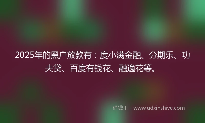 2025年的黑户放款有：度小满金融、分期乐、功夫贷、百度有钱花、融逸花等。