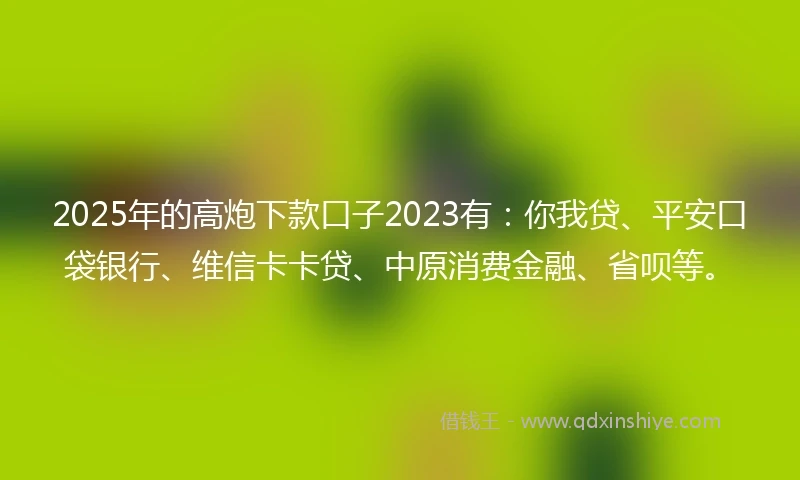 2025年的高炮下款口子2023有：你我贷、平安口袋银行、维信卡卡贷、中原消费金融、省呗等。
