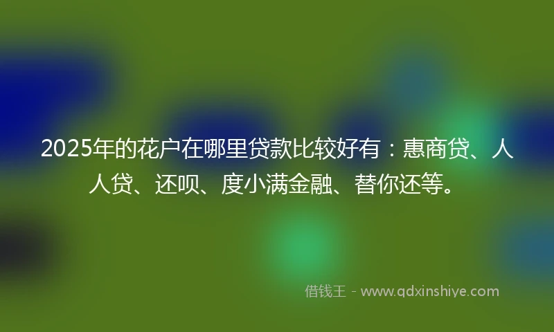 2025年的花户在哪里贷款比较好有：惠商贷、人人贷、还呗、度小满金融、替你还等。