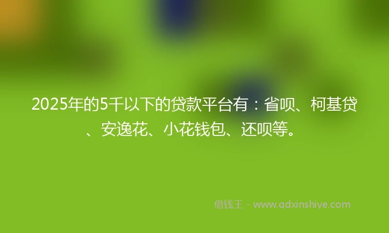 2025年的5千以下的贷款平台有：省呗、柯基贷、安逸花、小花钱包、还呗等。