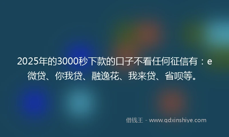 2025年的3000秒下款的口子不看任何征信有：e微贷、你我贷、融逸花、我来贷、省呗等。