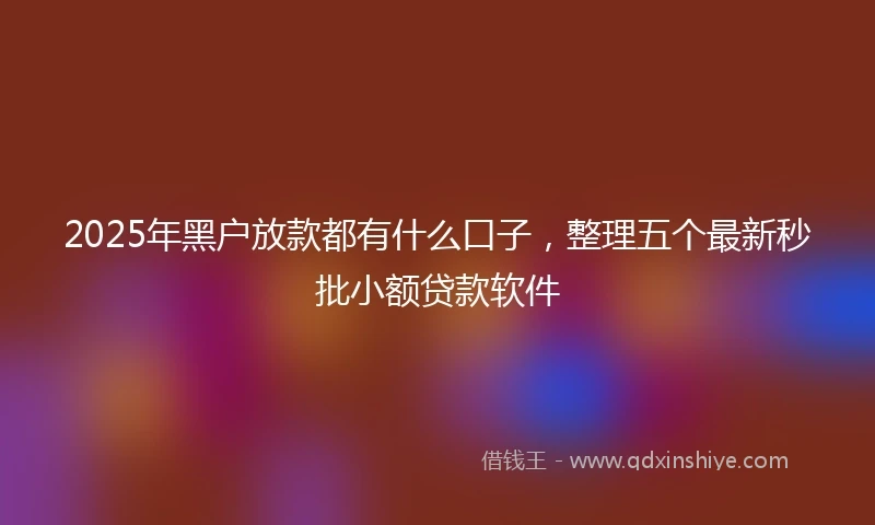 2025年黑户放款都有什么口子，整理五个最新秒批小额贷款软件