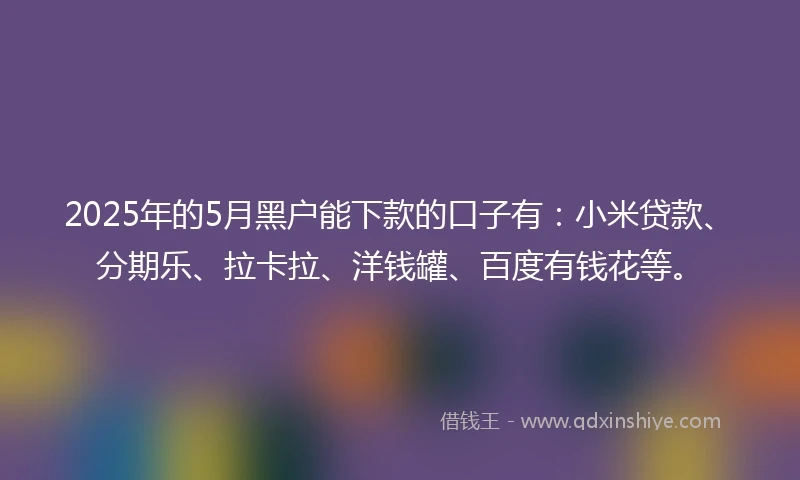 2025年的5月黑户能下款的口子有：小米贷款、分期乐、拉卡拉、洋钱罐、百度有钱花等。