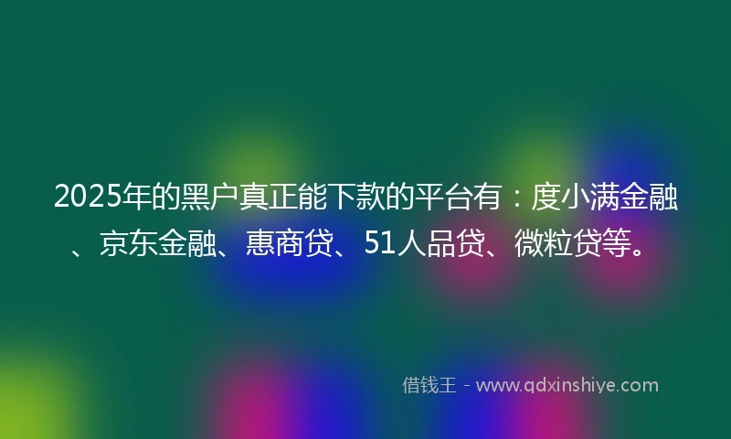 2025年的黑户真正能下款的平台有：度小满金融、京东金融、惠商贷、51人品贷、微粒贷等。