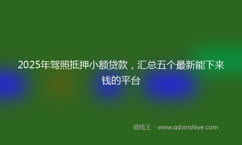 2025年驾照抵押小额贷款，汇总五个最新能下来钱的平台