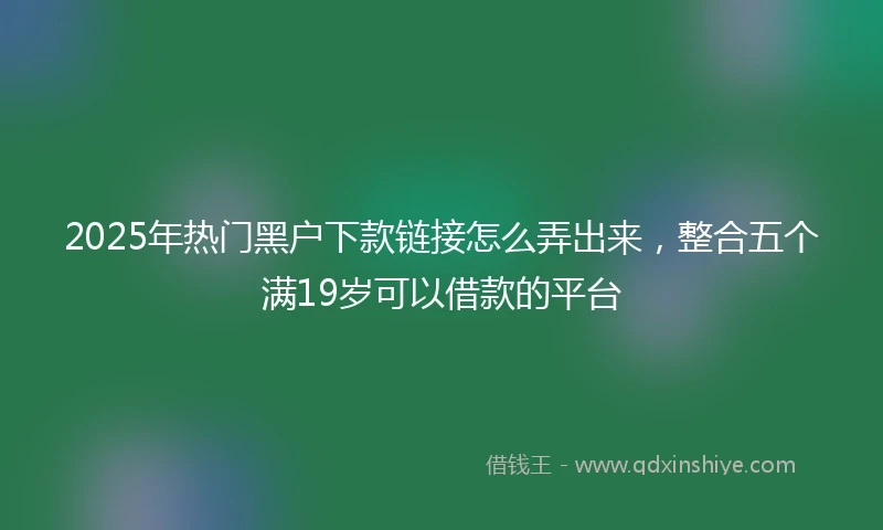 2025年热门黑户下款链接怎么弄出来，整合五个满19岁可以借款的平台