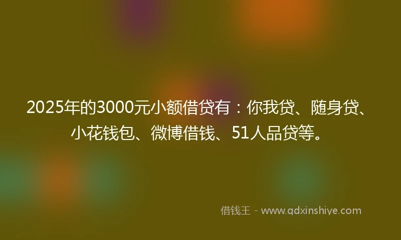 2025年的3000元小额借贷有：你我贷、随身贷、小花钱包、微博借钱、51人品贷等。
