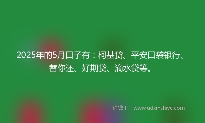 2025年的5月口子有：柯基贷、平安口袋银行、替你还、好期贷、滴水贷等。