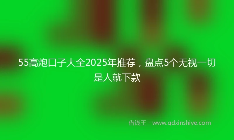55高炮口子大全2025年推荐，盘点5个无视一切是人就下款