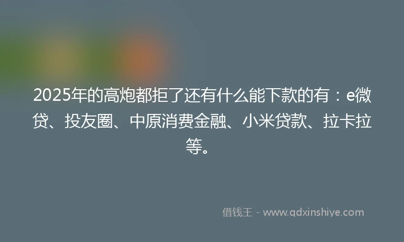 2025年的高炮都拒了还有什么能下款的有：e微贷、投友圈、中原消费金融、小米贷款、拉卡拉等。