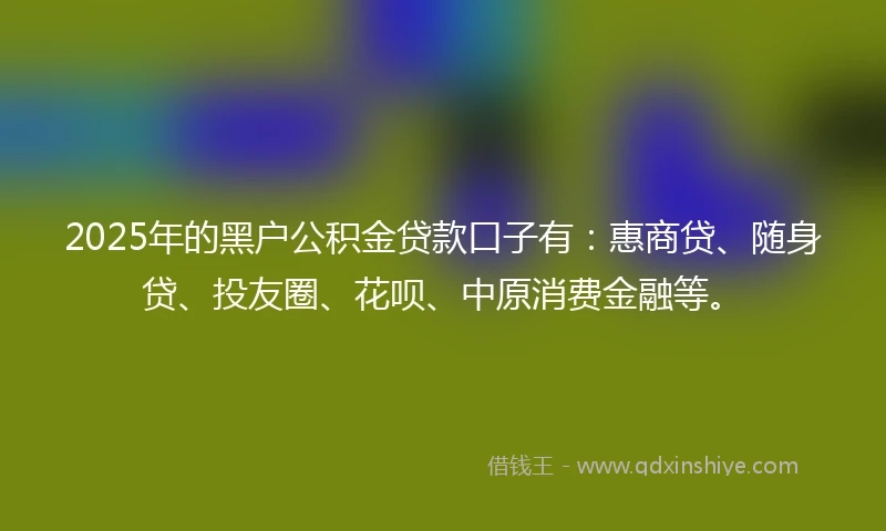 2025年的黑户公积金贷款口子有：惠商贷、随身贷、投友圈、花呗、中原消费金融等。