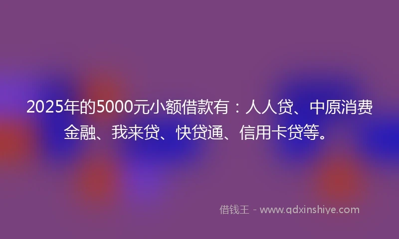 2025年的5000元小额借款有：人人贷、中原消费金融、我来贷、快贷通、信用卡贷等。